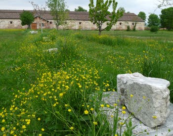 L'île du Lazzaretto Nuovo à Venise