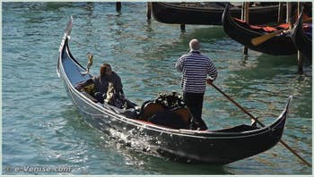 Videos Gondolas and Regattas in Venice