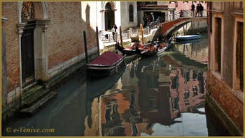 Saint Mark District Videos in Venice.