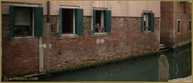 Petit chat vénitien à sa fenêtre, le long du rio de Sant'Andrea o dei Gozzi o Sartori, dans le Sestier du Cannaregio à Venise