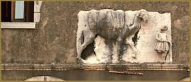 Haut-relief dit du chameau, datant du début du XIVe siècle sur la façade du Palazzo des frères Mastelli, représentant un chamelier et un dromadaire sur le rio de la Madona de l'Orto, dans le Sestier du Cannaregio à Venise