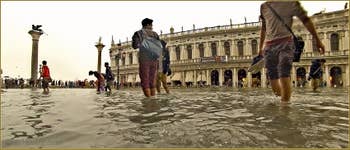 Acqua Alta Venise - La Piazzetta San Marco sous l'eau, devant la bibliothèque Marciana, dans le Sestier de Saint-Marc à Venise.