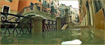 Acqua Alta Venise : La Fondamenta Morosini et le rio dei Bareteri, devant le pont dei Pignoli, dans le Sestier de Saint-Marc à Venise.