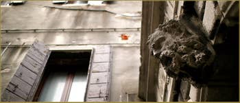 Sculptures au-dessus de la porte d'entrée du Palazzo Bragadin Carabba, où habitait Giacomo Casanova pendant 9 ans, ramo Bragadin, dans le Sestier du Castello à Venise.