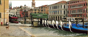 Petite Acqua Alta sur la Riva del Vin, Toutou attend sagement au sec ! Dans le Sestier de San Polo à Venise.