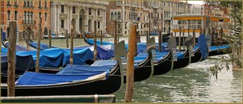 Gondoles sur le Grand Canal devant l'arrêt du Vaporetto de San Silvestro, dans le Sestier de San Polo à Venise.