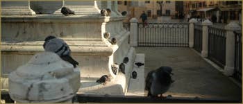 Pigeons, Campo San Giovanni e Paolo, au pied de la statue de Bartolomeo Colleone dans le Sestier du Castello à Venise.