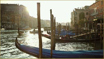 Gondoles sur le Grand Canal à Venise.