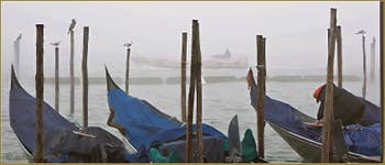 Brouillard sur le bassin de Saint-Marc à Venise.