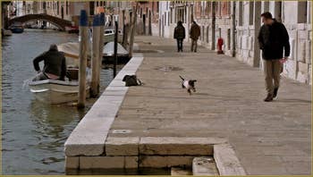La Fondamenta Gasparo Contarini, le long du rio de la Madona de l'Orto, dans le Sestier du Cannaregio à Venise.
