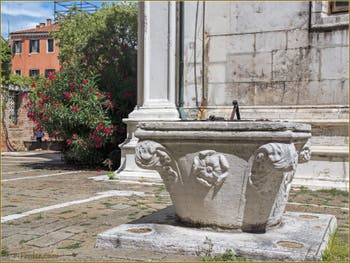 Lauriers rouges et puits de l'église San Giorgio dei Greci