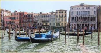 Eventail de Gondoles sur le Grand Canal de Venise.