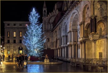 Le Sapin de Noël de la place Saint-Marc à Venise.