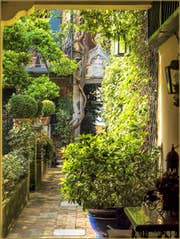 Jardins Secrets à Venise