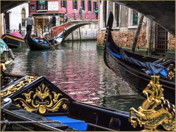 La Vie en Rose dans l'Or des Gondoles de Venise