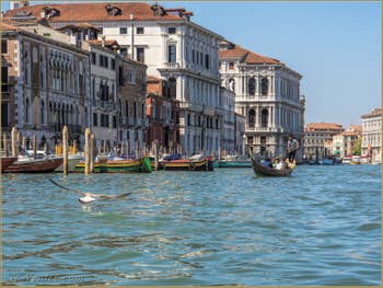 Gondole sur le Grand Canal à Venise.