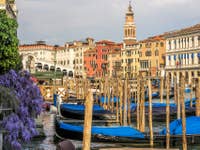 Glycine et Gondoles à Venise