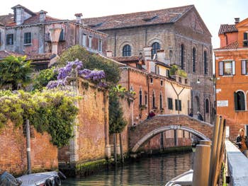 Glycine au pont de la Racheta, dans le Cannaregio à Venise.