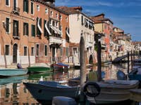 Mouettes Rio de la Sensa à Venise
