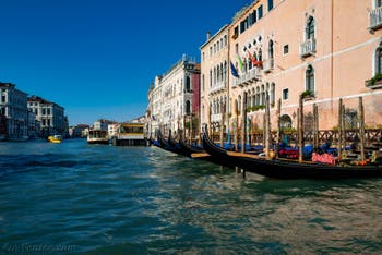 Gondoles sur le Grand Canal de Venise devant le palais de la Ca' d'Oro