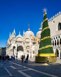 Le Sapin de Noël de la Place Saint-Marc à Venise