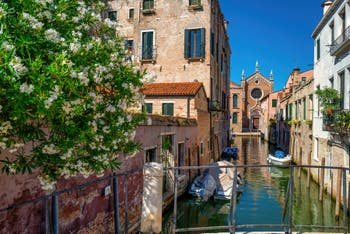 Lauriers rose sur le Rio Brazzo, au fond l'église de la Madona de l'Orto, dans le Sestier du Cannaregio à Venise.