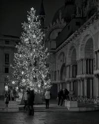 Le Sapin de Noël de la place Saint-Marc à Venise.