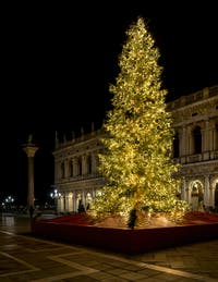 Le Sapin de Noël de Venise devant la Bibliothèque Marciana