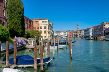 Glycine sur le Grand Canal de Venise