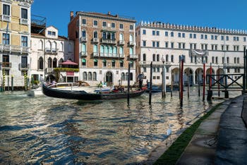 Aigrette Garzette et Gondole sur le Grand Canal de Venise.