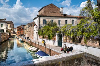 Glycine en fleur sur la Fondamenta Santa Caterina dans le Cannaregio à Venise.