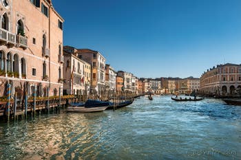 Joyeux Noël de Venise !
Gondoles sur le Grand Canal de Venise à côté du marché du Rialto.