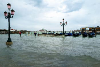 Acqua Alta de Novembre 2019 à Venise, les gondoles sur la Riva degli Schiavoni dans le Castello à Venise.