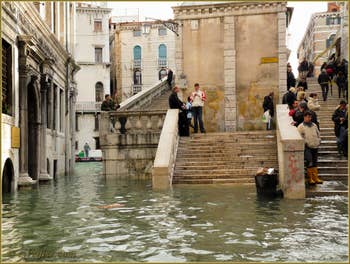 L'acqua alta record du 1er décembre 2008 au pont du Rialto à Venise.
