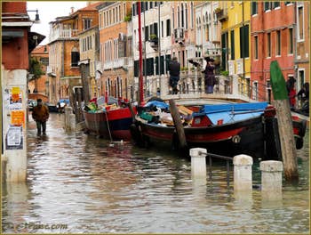 L'acqua alta record du 1er décembre 2008 à Venise.