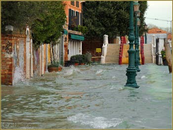 L'acqua alta record du 1er décembre 2008 à Venise.