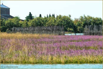 La Lagune de Venise autour de l'île de San Francesco del Deserto.