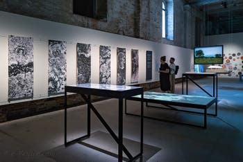 Paulo Tavares Autonomous, An Architectural Botany, 2018 Trees, Vines, Palms and Other Architectural Monuments, 2017―2021, à la Biennale d'Architecture de Venise