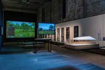 Paulo Tavares Autonomous, An Architectural Botany, 2018 Trees, Vines, Palms and Other Architectural Monuments, 2017―2021, à la Biennale d'Architecture de Venise