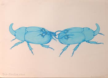 Birgit Jürgenssen, Coconut Crab Fight, Biennale Internationale d'Art de Venise