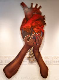 Jonathas de Andrade, Heart in the Hand, Biennale Internationale d'Art de Venise