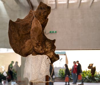 Maret Anne Sara, Sculptures en peau et viscères de rennes, Biennale Internationale d'Art de Venise
