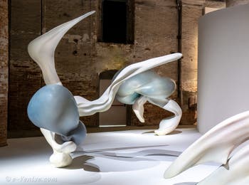 Marguerite Humeau, Migrations El Nino, Kuroshio, La Nina, Biennale Internationale d'Art de Venise