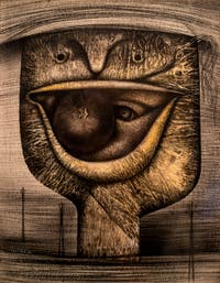 Tatsuo Ikeda, The Eye(s) Inside the Mouth, Biennale Internationale d'Art de Venise