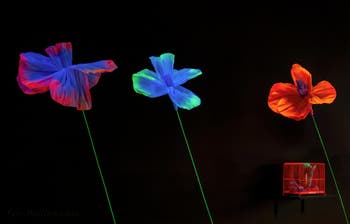 Tetsumi Kudo, Flowers from Garden of the Metamorphosis in the Space Capsule, Biennale Internationale d'Art de Venise