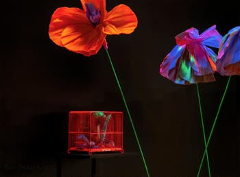 Tetsumi Kudo, Flowers from Garden of the Metamorphosis in the Space Capsule, Biennale Internationale d'Art de Venise and Cultivation