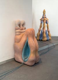 Zsofia Keresztes, After dreams: I dare to defy the damage, Biennale Internationale d'Art de Venise