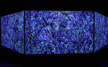 Khaled Sabsabi, Conference of one's self, Australie, Biennale d'Art de Venise 2026