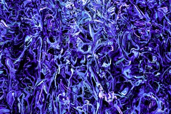 Khaled Sabsabi, Conference of one's self, Australie, Biennale d'Art de Venise 2026