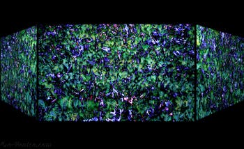 Khaled Sabsabi, Conference of one's self, Australie, Biennale d'Art de Venise 2026